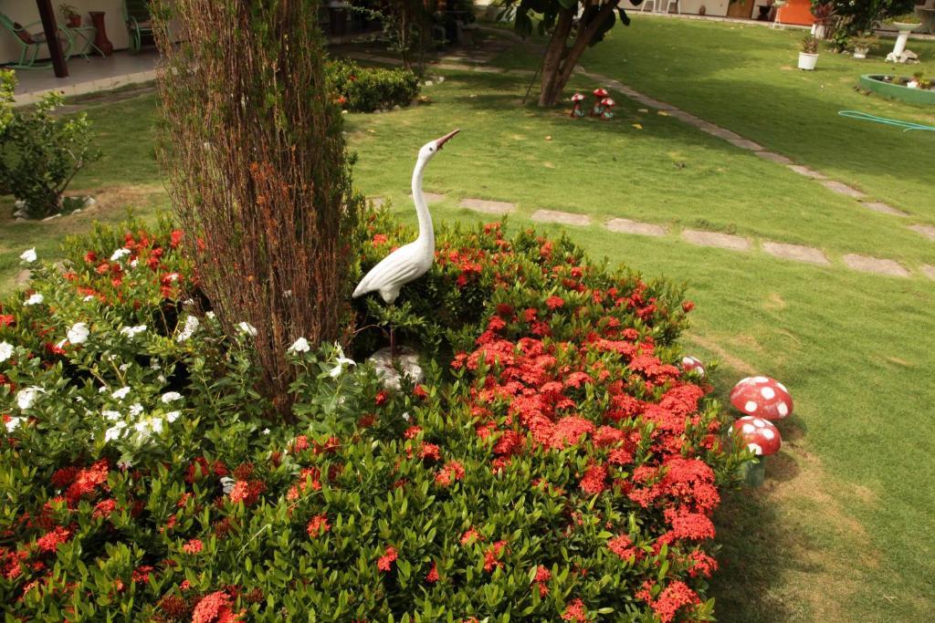 Hotel Jardim Fortaleza  Exteriör bild